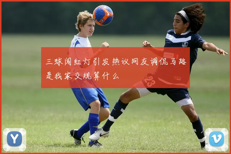 三球闯红灯引发热议网友调侃马路是我家交规算什么