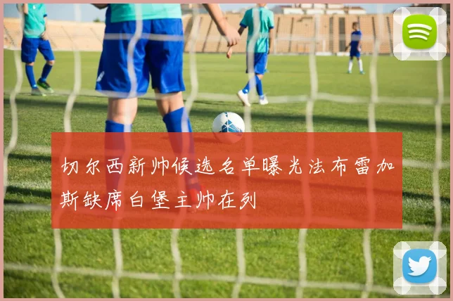 切尔西新帅候选名单曝光法布雷加斯缺席白堡主帅在列