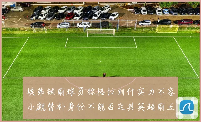 埃弗顿前球员称格拉利什实力不容小觑替补身份不能否定其英超前五地位