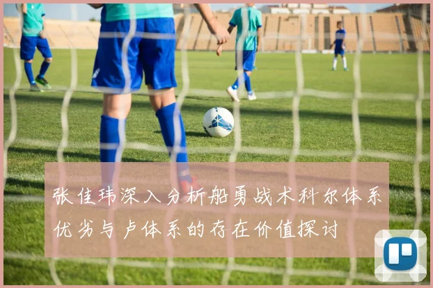 张佳玮深入分析船勇战术科尔体系优劣与卢体系的存在价值探讨