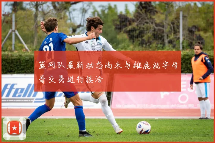 篮网队最新动态尚未与雄鹿就字母哥交易进行接洽