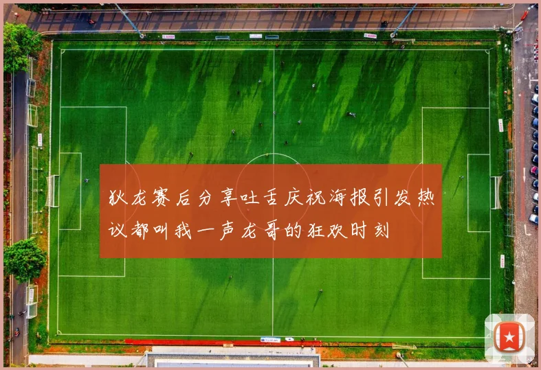 狄龙赛后分享吐舌庆祝海报引发热议都叫我一声龙哥的狂欢时刻